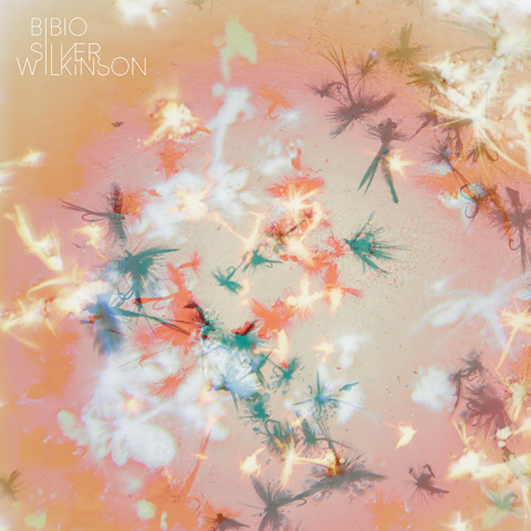 bibio