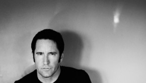nin