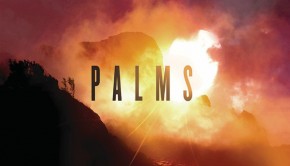 palms2
