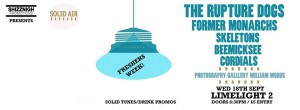 solid air freshers