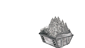 picturethis1