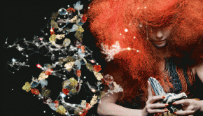bjork_header-934x624
