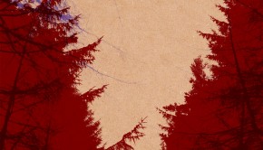 a3592478410_10
