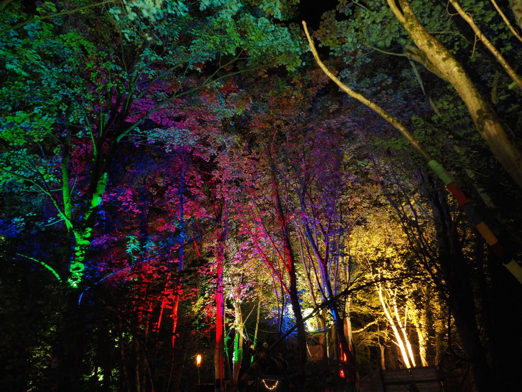 2015 Stendhal Festival Treeluminations