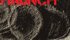 haunch