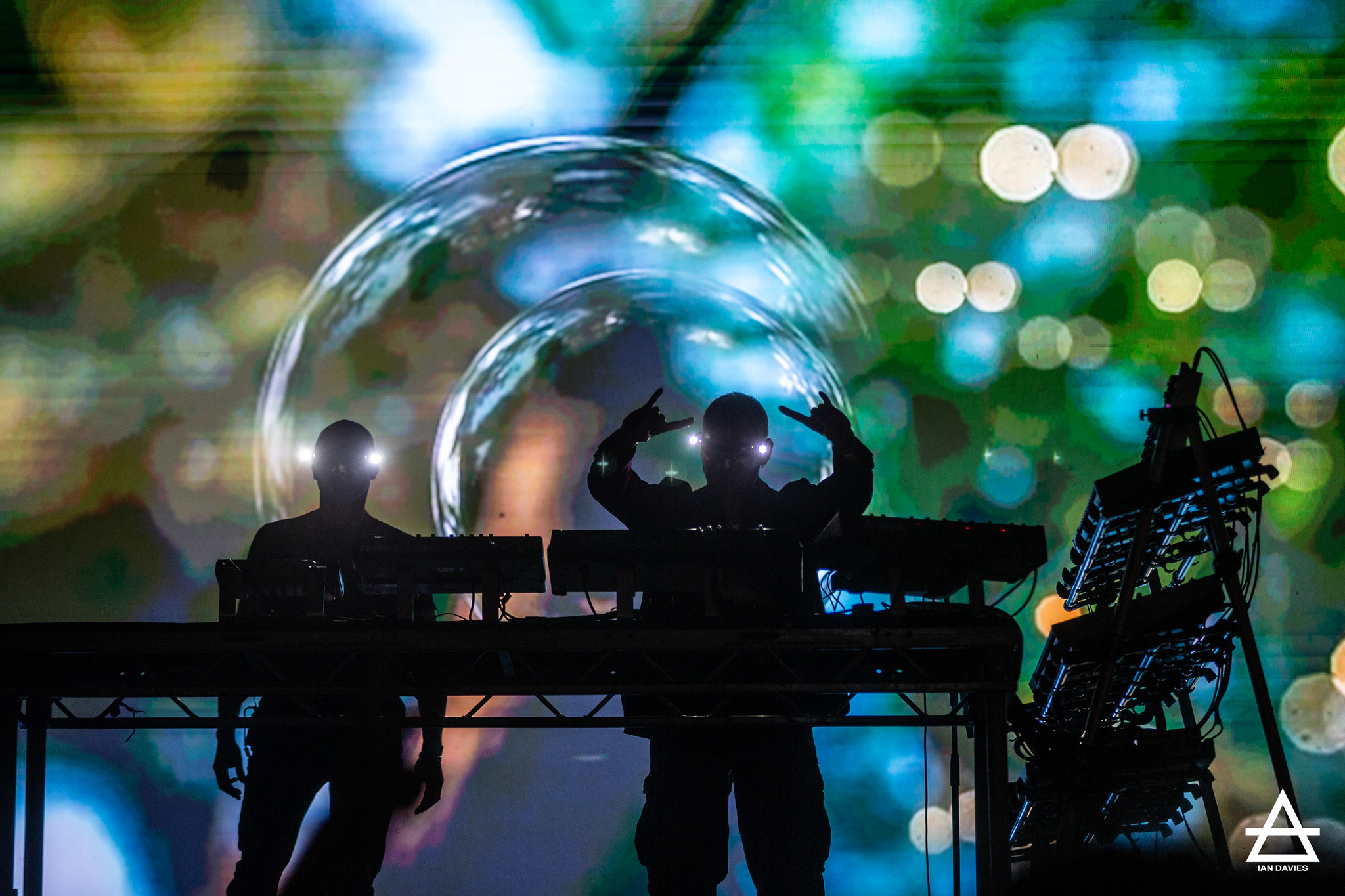 Forest Fest 2025: Saturday